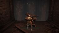 Use the coffin to reach at the bottom (Image via FromSoftware)